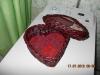 dscn0507_t1.jpg