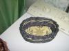 img7386_t1.jpg